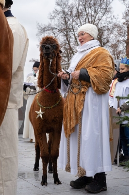 Orszak Trzech Króli_33